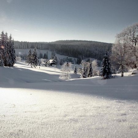Ferienhotel Muehlleithen Klingenthal Esterno foto