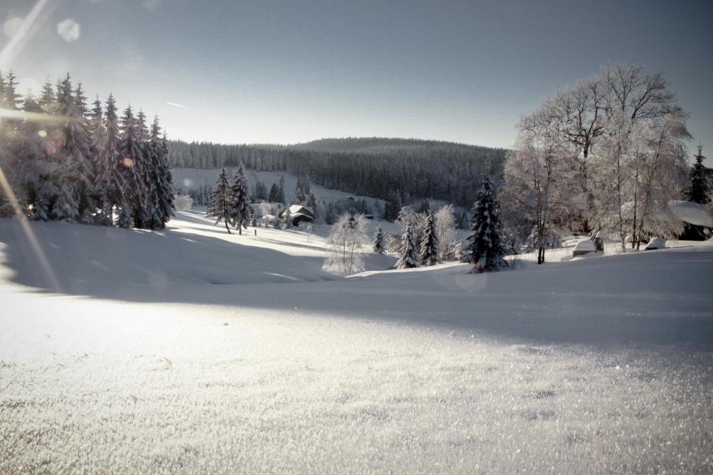Ferienhotel Muehlleithen Klingenthal Esterno foto