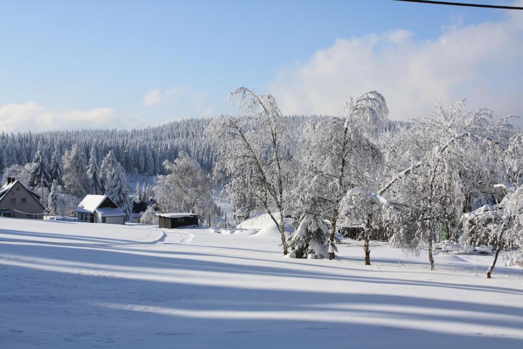 Ferienhotel Muehlleithen Klingenthal Esterno foto