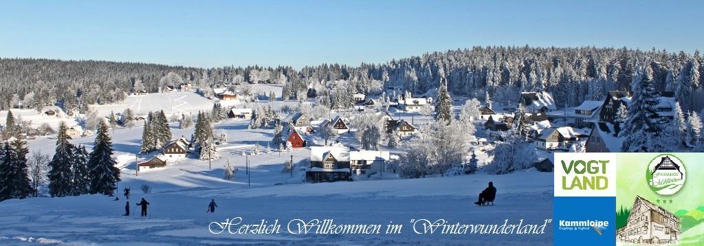 Ferienhotel Muehlleithen Klingenthal Esterno foto